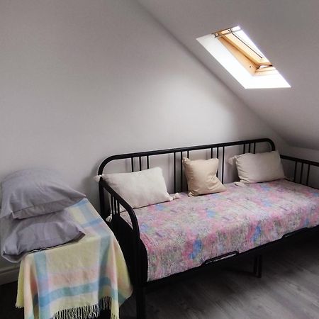 Belfast City Centre, Brilliant Light Apartment Eksteriør billede